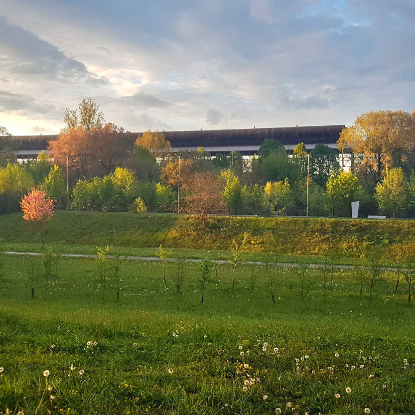 Conferenza Foreste urbane: una ricchezza di benefici, una pluralità di valori  - Festival della Biodiversità