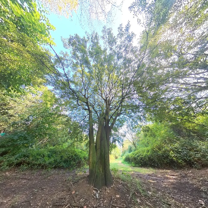 Esplorando la biodiversità: tra passato, presente e futuro